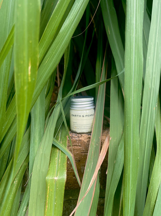 Whipped Beef Tallow SAMPLE - Basic Starter (0.5 oz)