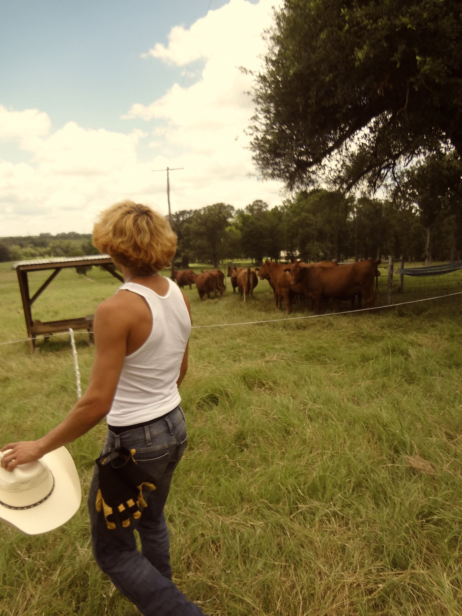 Beef tallow skincare